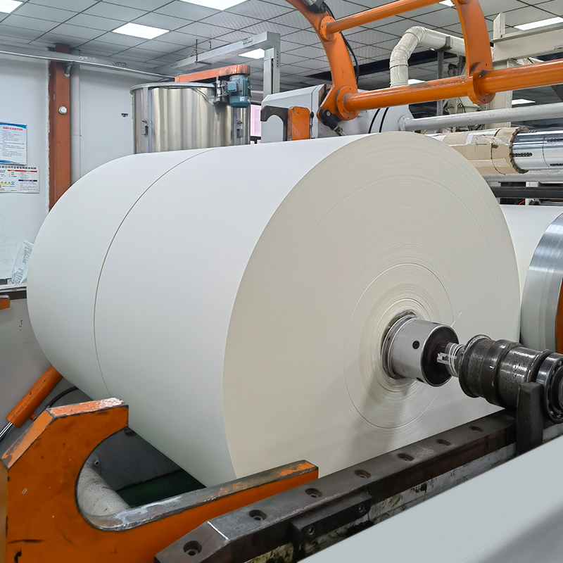 Raw Material for Paper Cup Pe Coated Paper Roll