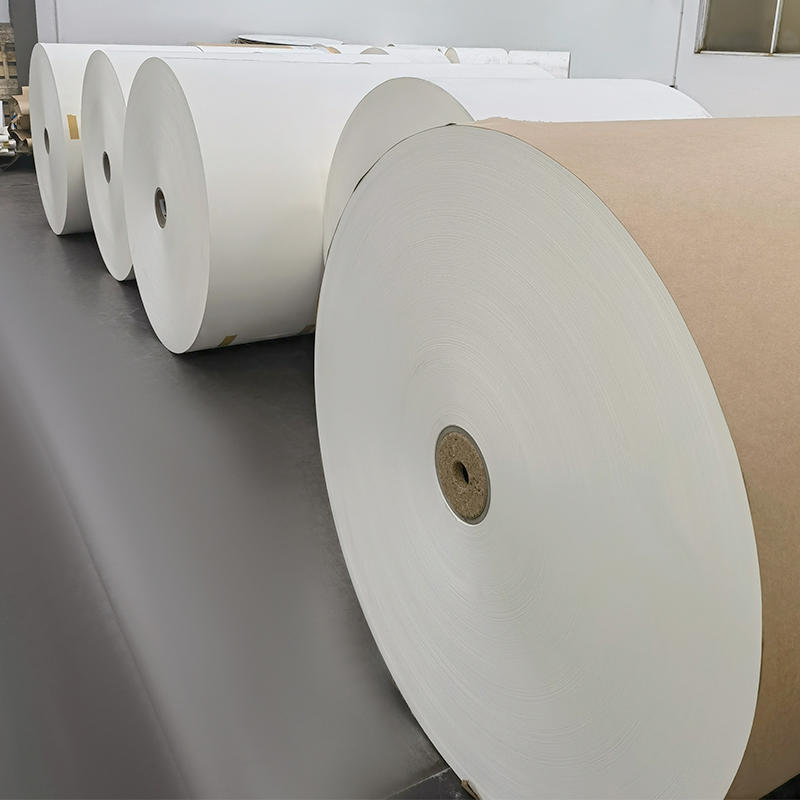 High Bulk White PE Coated Paper Roll 310gsm Kraft For Bowl 